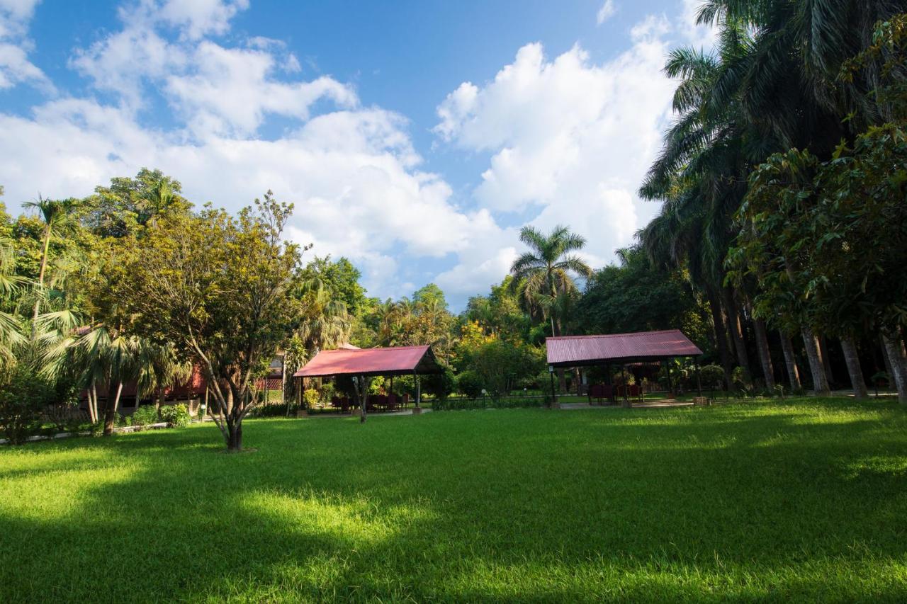 Chitwan Paradise Hotel Саураха Екстериор снимка
