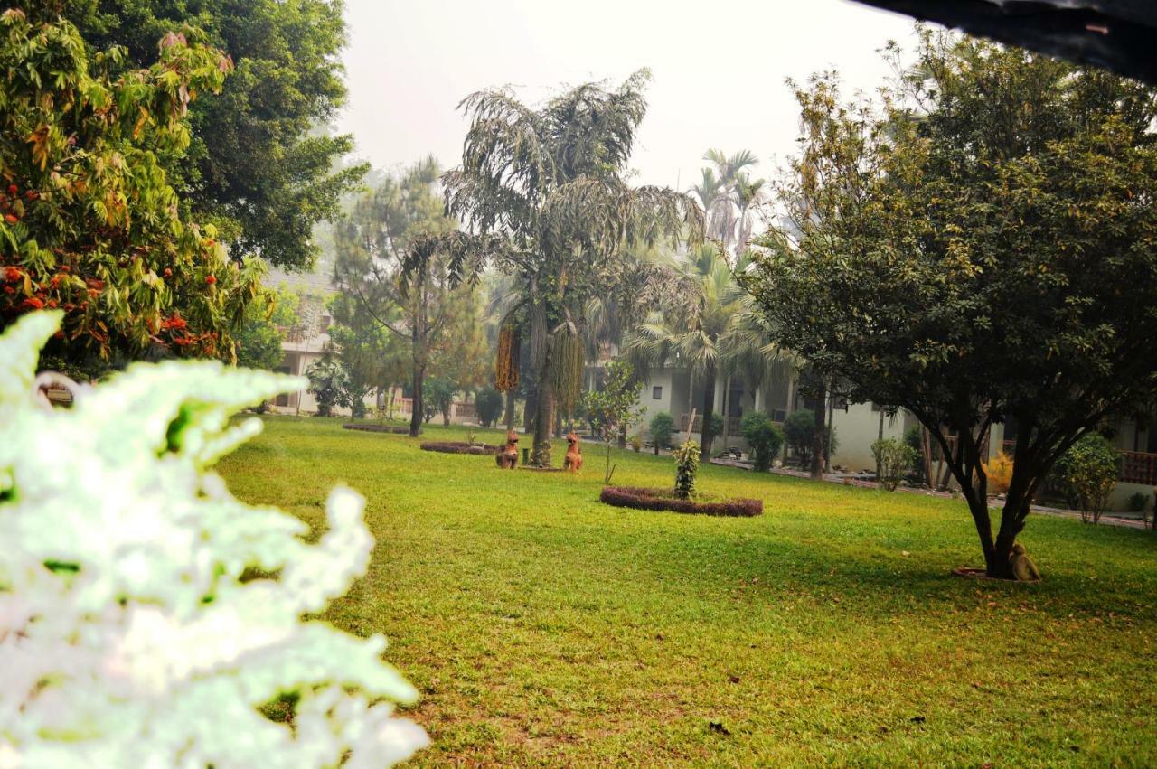 Chitwan Paradise Hotel Саураха Екстериор снимка
