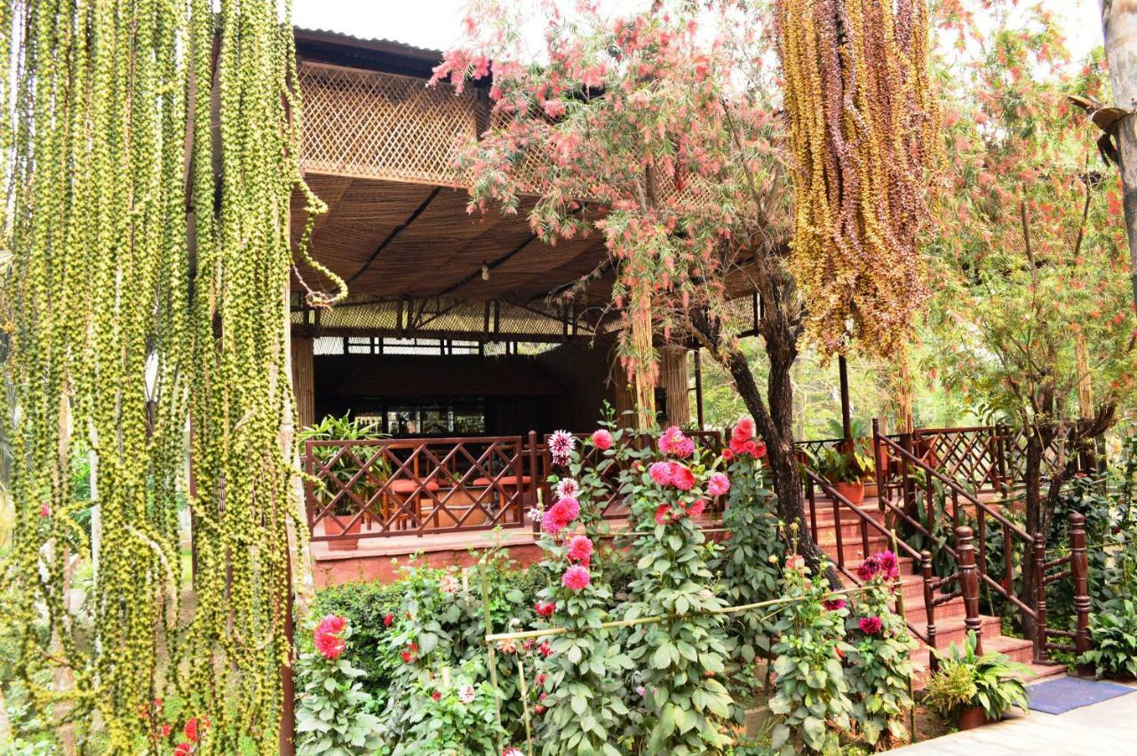 Chitwan Paradise Hotel Саураха Екстериор снимка