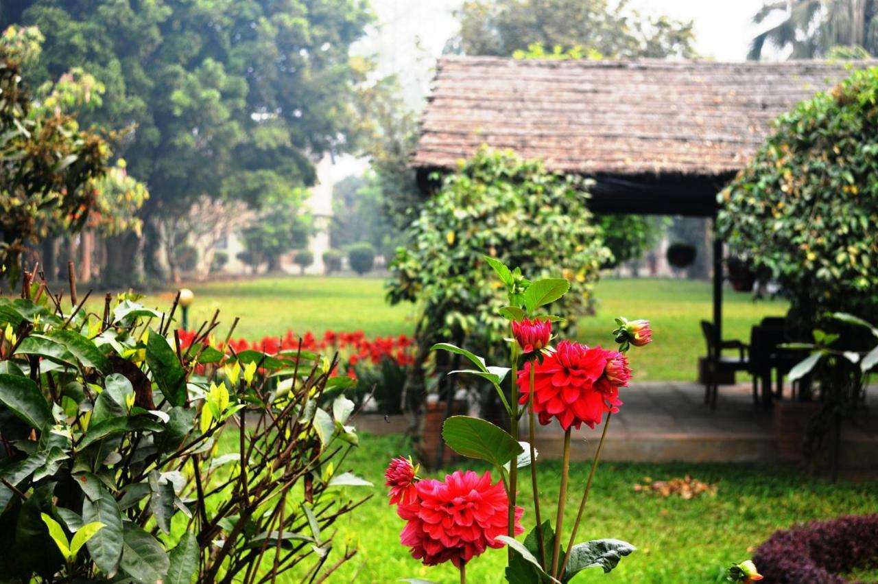 Chitwan Paradise Hotel Саураха Екстериор снимка