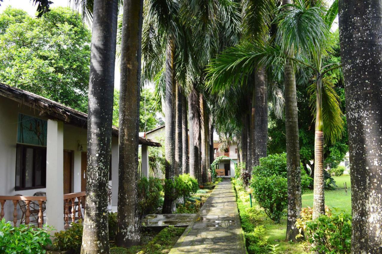 Chitwan Paradise Hotel Саураха Екстериор снимка